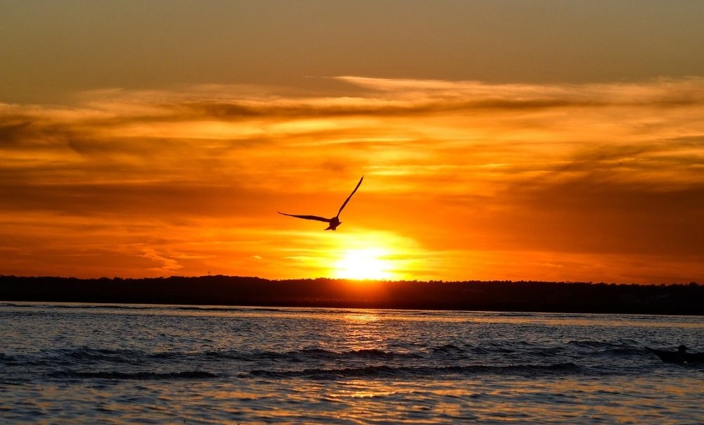 sunset-over-the-sea-1500x609