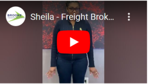 sheila video